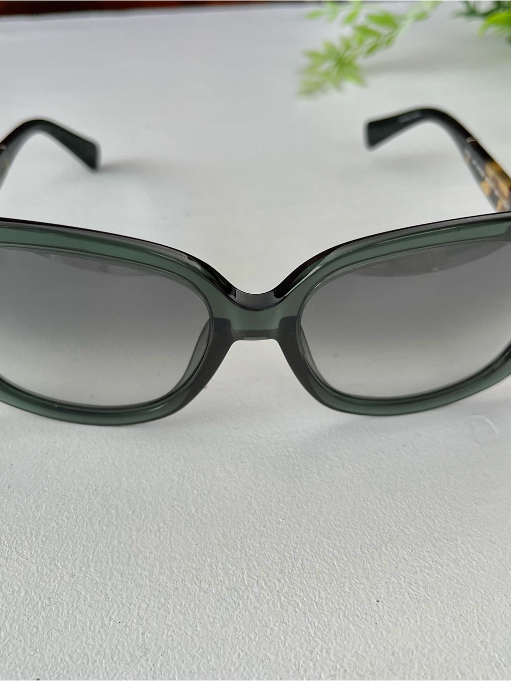 Cole Haan Sunglasses CH7003 (307) Spruce with tortoise 58 17 135